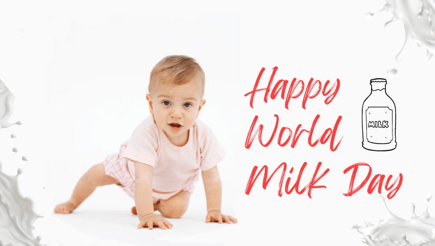 World Milk Day - Milking the Wonders of the Creamy Delight, Let’s Talk Milk!!  - Mi Arcus