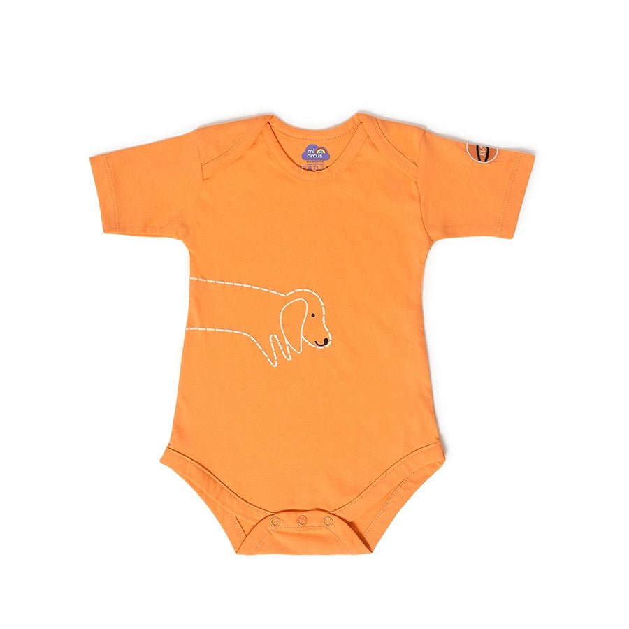Playful Dungaree with Romper set for Babies Dungaree 2