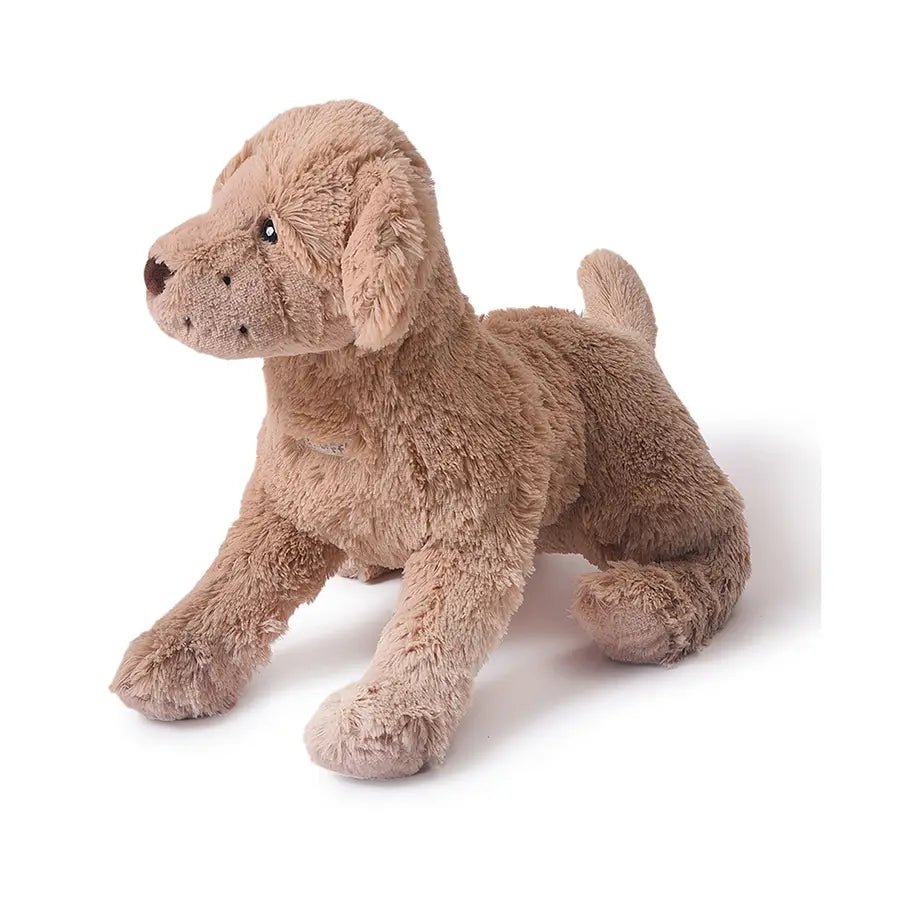 Truffle Dog Soft Toy Soft Toys 3