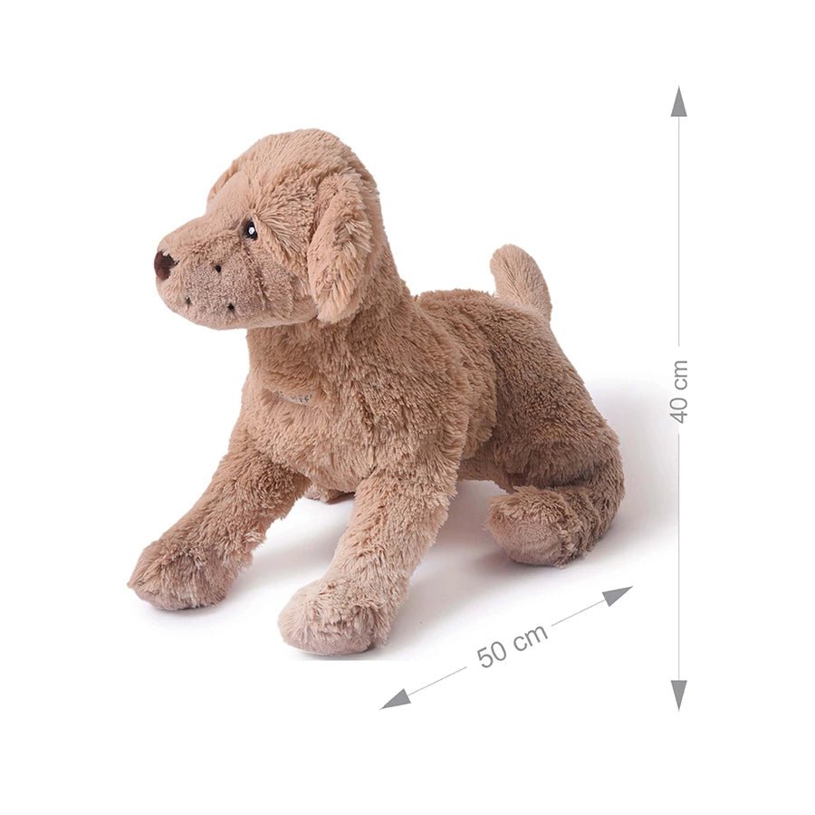 Truffle Dog Soft Toy Soft Toys 10
