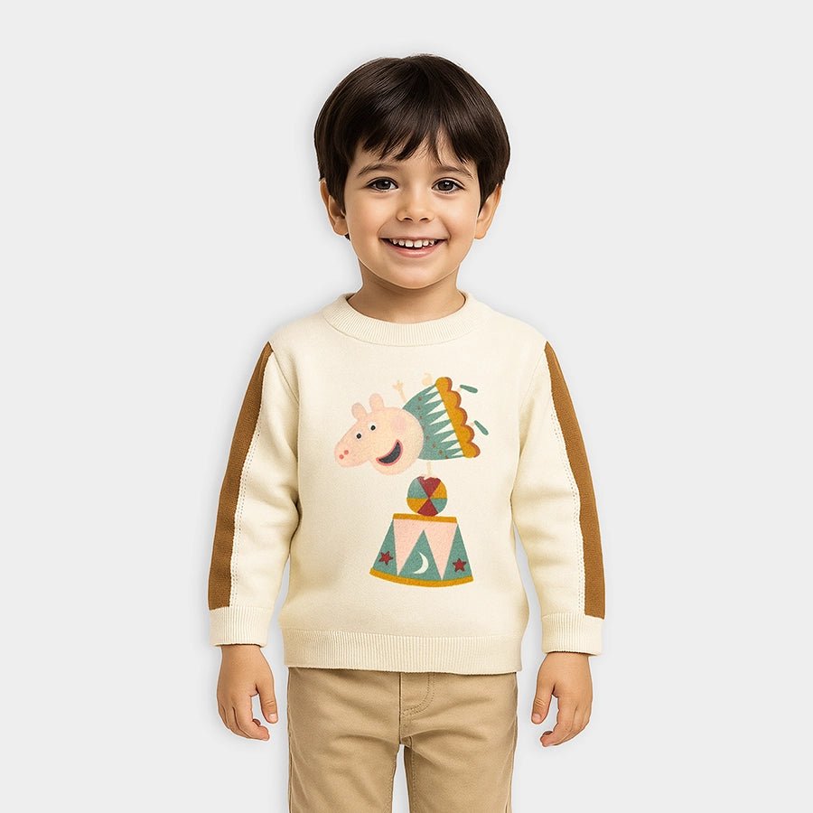 1Pk Blended Fine Knit Sweater Full Sleeves Sweater Full Sleeves 1