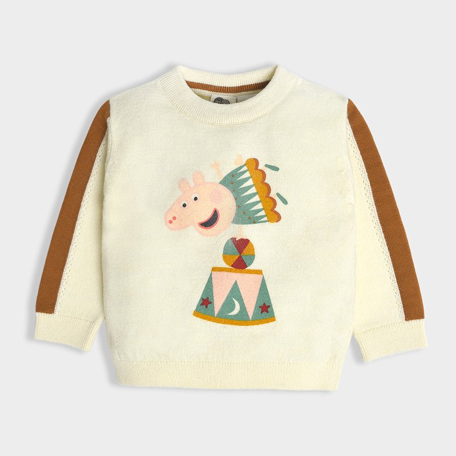 1Pk Blended Fine Knit Sweater Full Sleeves Sweater Full Sleeves 2