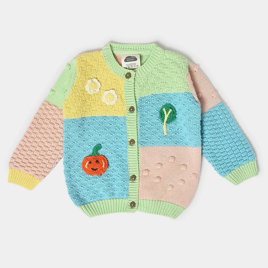1Pk Cotton Chunky Knit Sweater Full Sleeves Sweater Full Sleeves 2