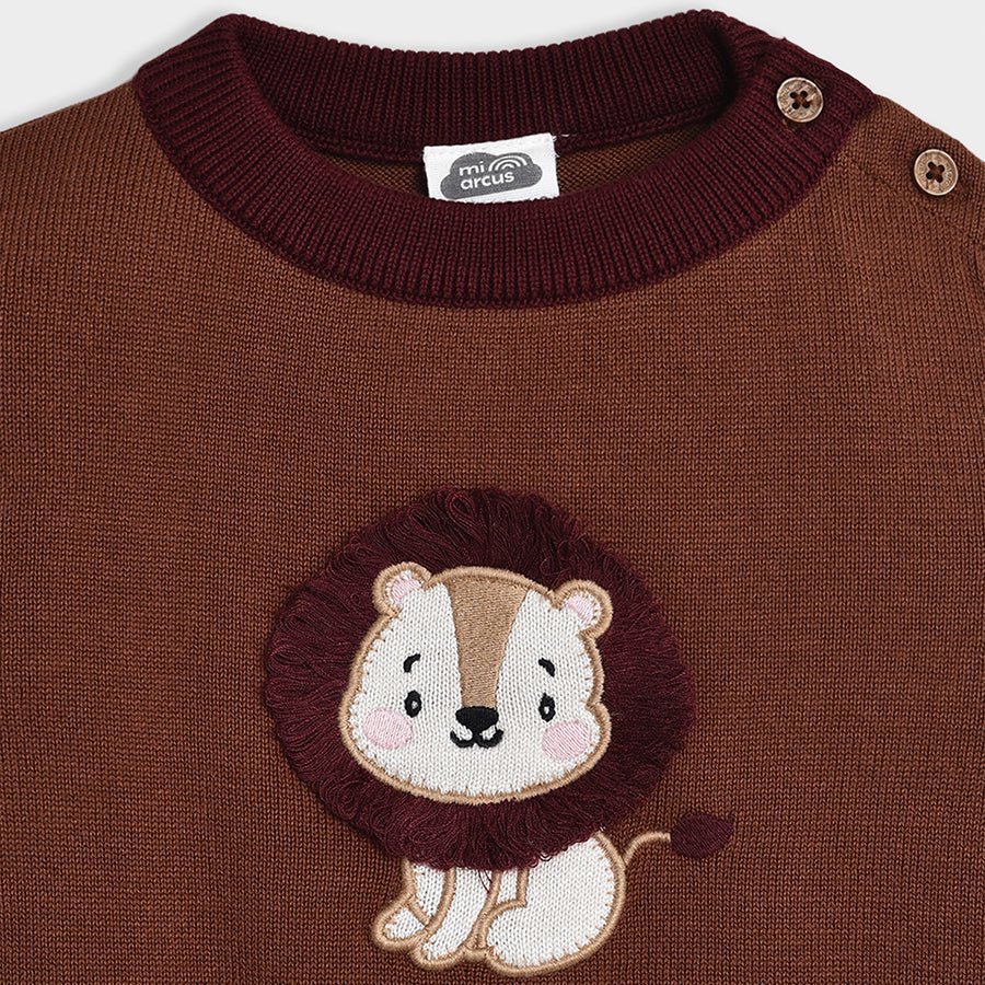 1Pk Cotton Fine Knit Sweater Full Sleeves Sweater Full Sleeves 4