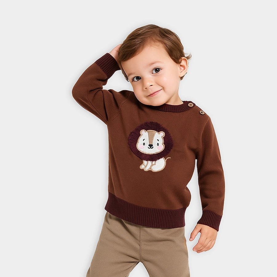 1Pk Cotton Fine Knit Sweater Full Sleeves Sweater Full Sleeves 1