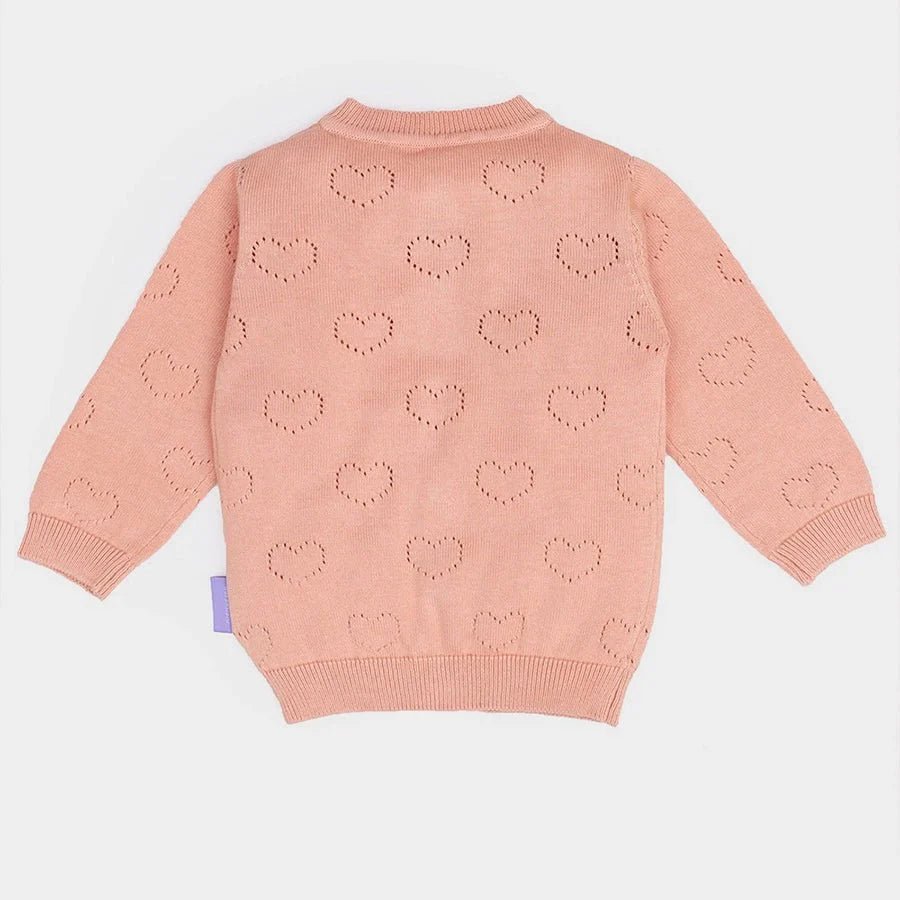 1Pk Cotton Pointelle Knit Sweater Full Sleeves Sweater Full Sleeves 3