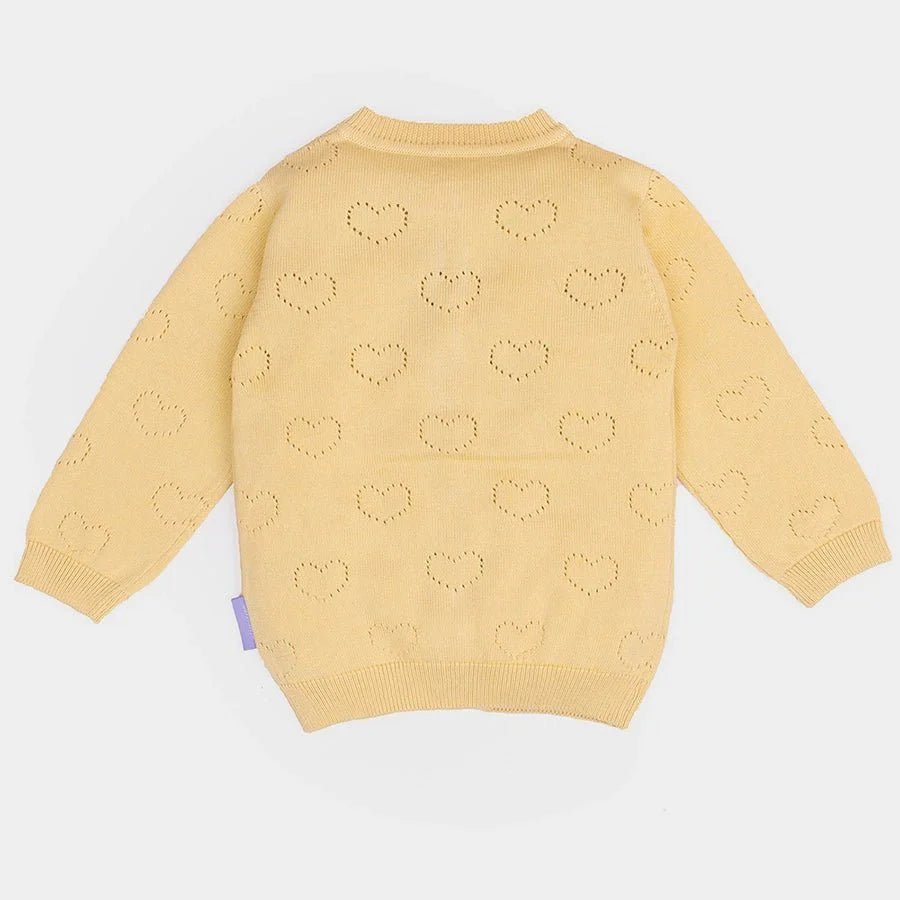 1Pk Cotton Pointelle Knit Sweater Full Sleeves Sweater Full Sleeves 7