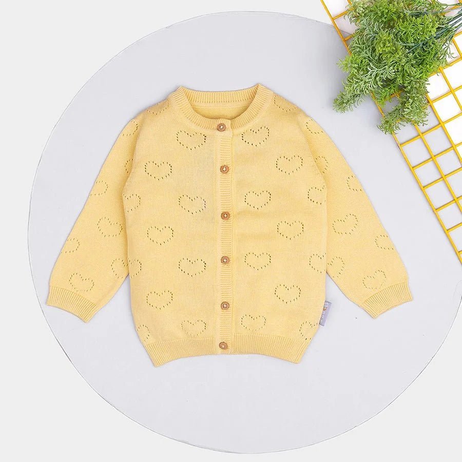 1Pk Cotton Pointelle Knit Sweater Full Sleeves Sweater Full Sleeves 2