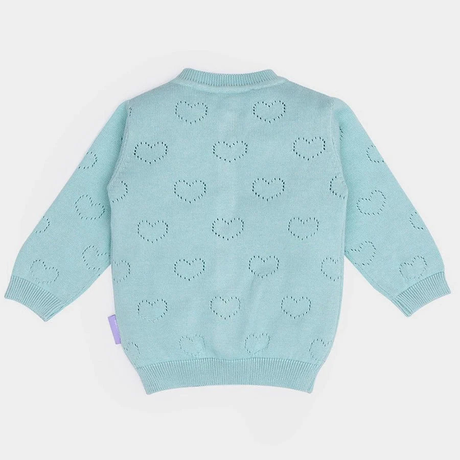 1Pk Cotton Pointelle Knit Sweater Full Sleeves Sweater Full Sleeves 7