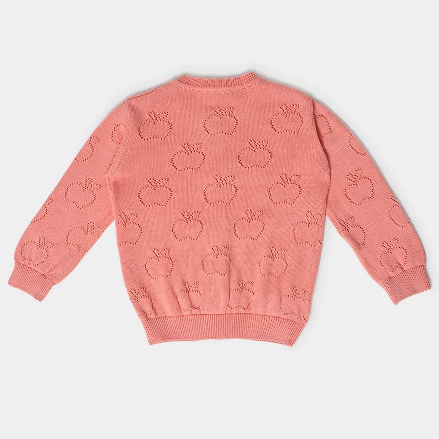 1Pk Cotton Pointelle Knit Sweater Full Sleeves Sweater Full Sleeves 9