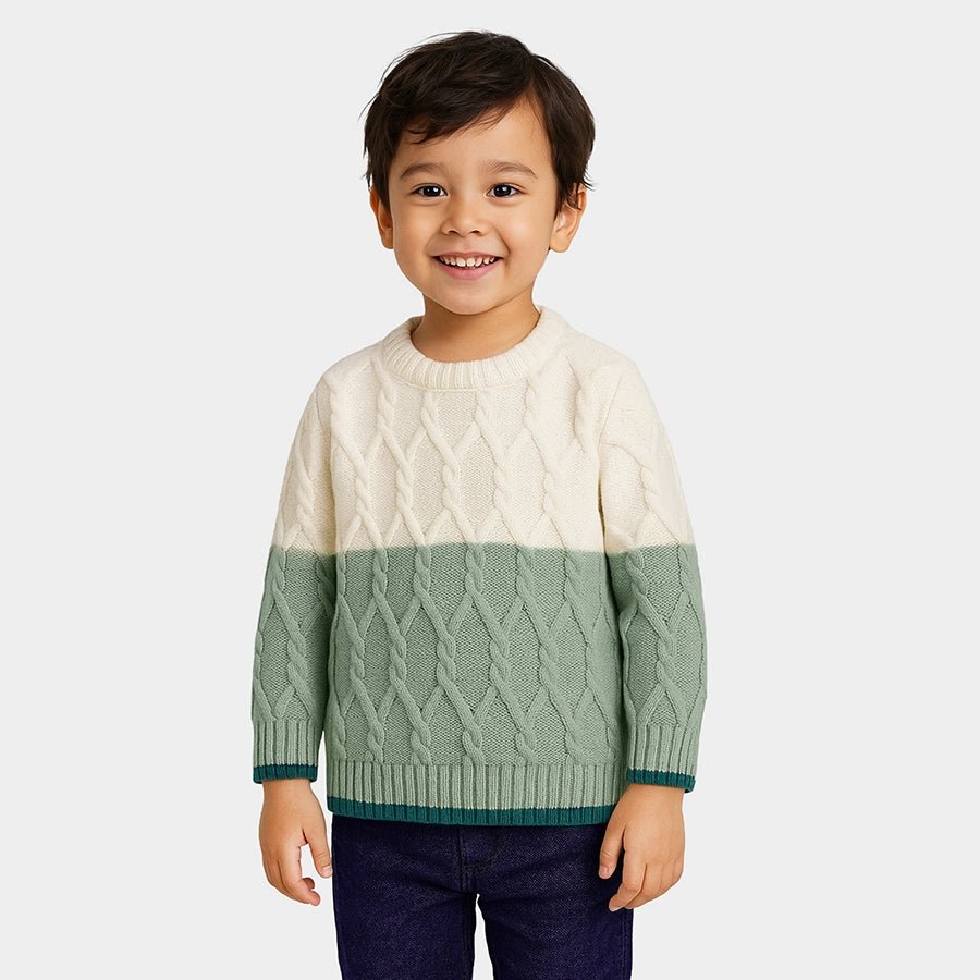 1Pk Polyester Cable Knit Sweater Full Sleeves Sweater Full Sleeves 1