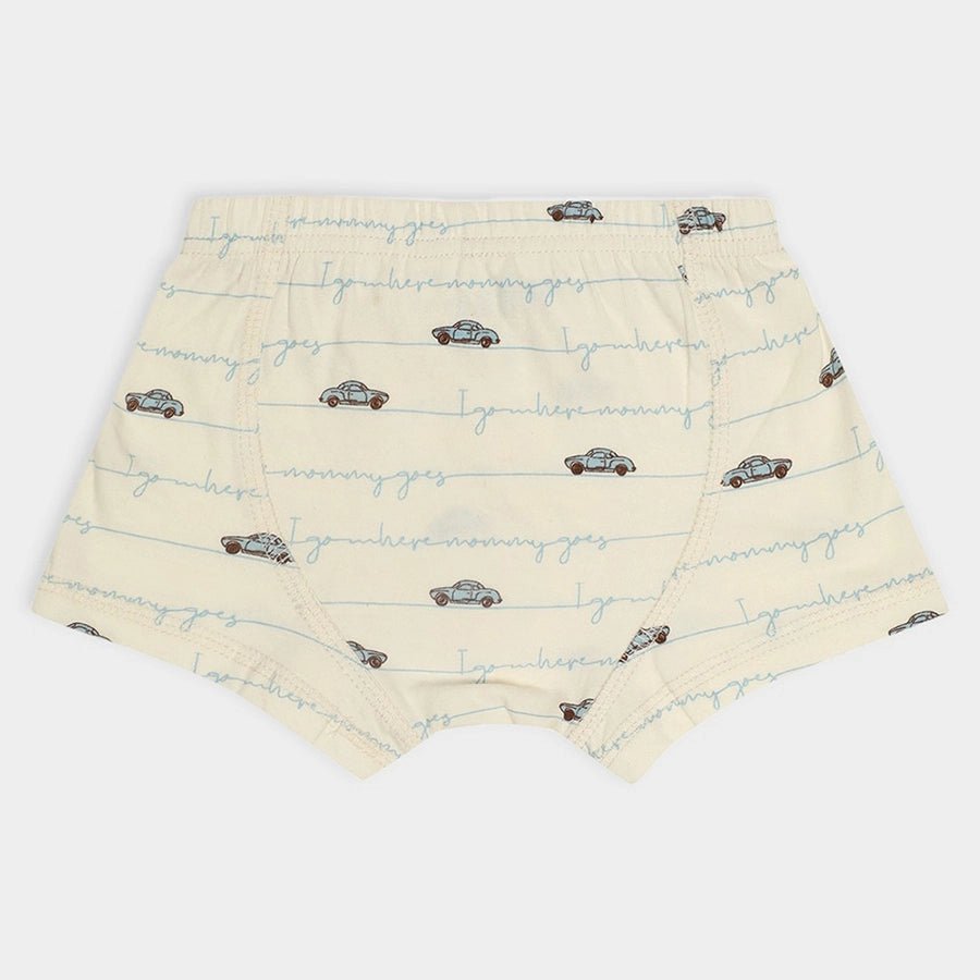 3Pk Cotton Jersey Brief Brief 21