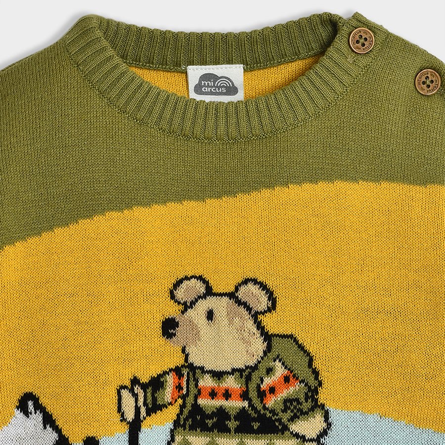 Adventure Bruin Printed Sweater Sweater Full Sleeves 4