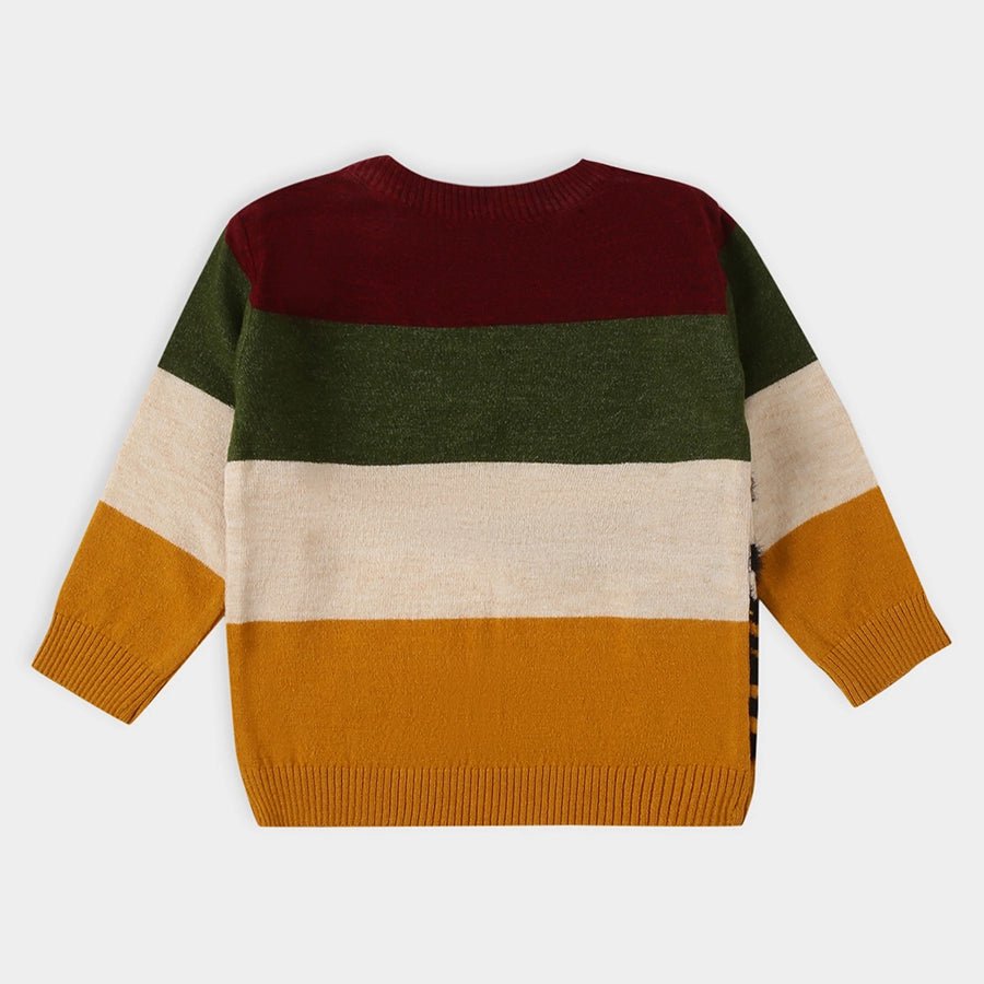 Baby Boy Striper Sweater With Zebra Print Sweater Full Sleeves 3