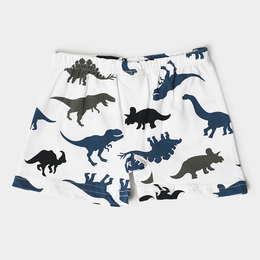 Boys Dino Print Shorts and Vest Set Shorts - Vest Set 9