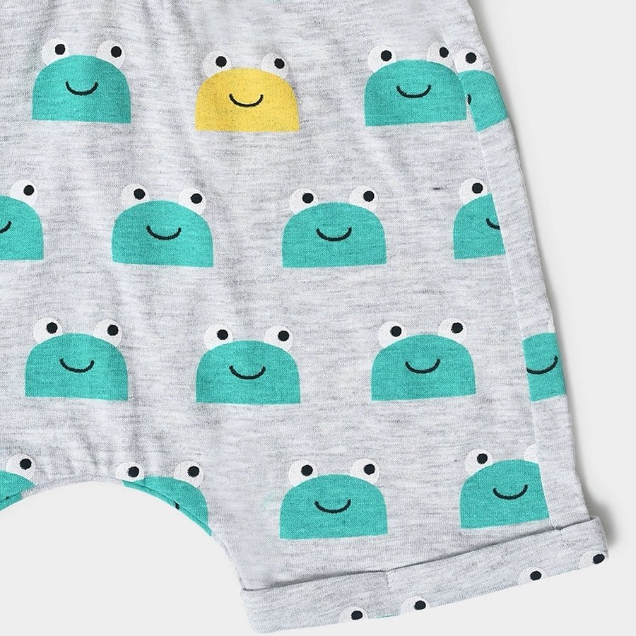 Boys Printed Tee and Shorts Set T-Shirt - Short Set 13