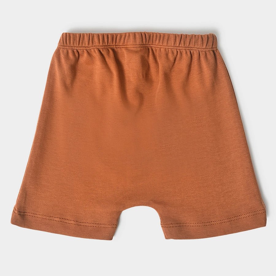 Buddy Kids Comfy Shorts - Pack of 3 Shorts 6