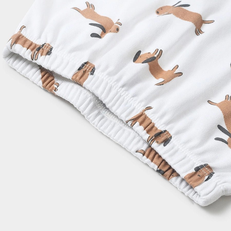 Buddy Kids Comfy Shorts - Pack of 3 Shorts 12