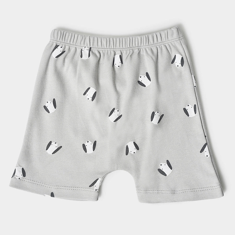 Buddy Kids Comfy Shorts - Pack of 3 Shorts 2