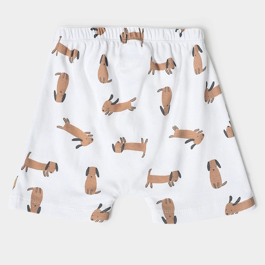 Buddy Kids Comfy Shorts - Pack of 3 Shorts 9