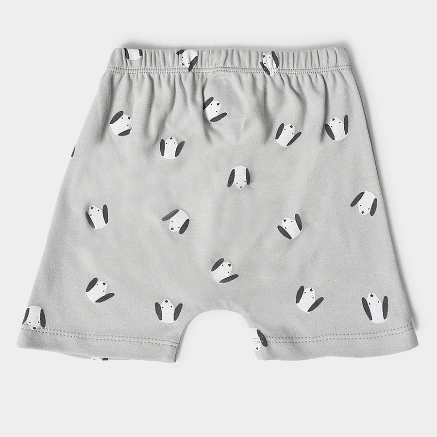 Buddy Kids Comfy Shorts - Pack of 3 Shorts 3