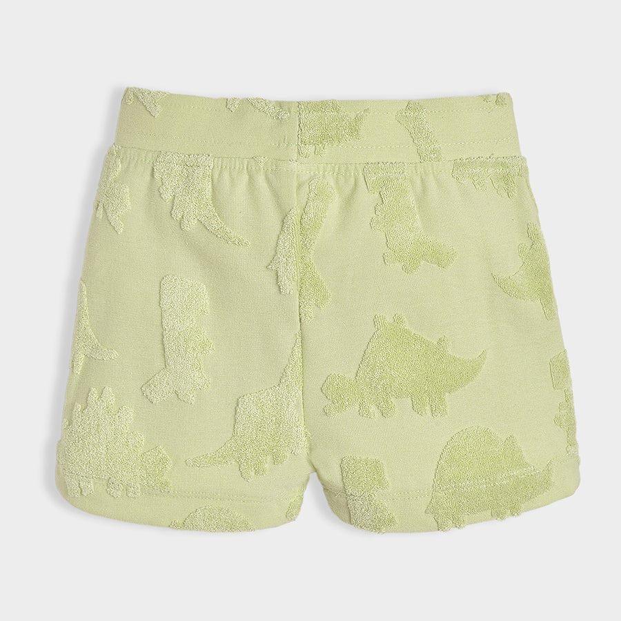 Dinomite Seafoam Green Shirt & Shorts Set Clothing Set 9