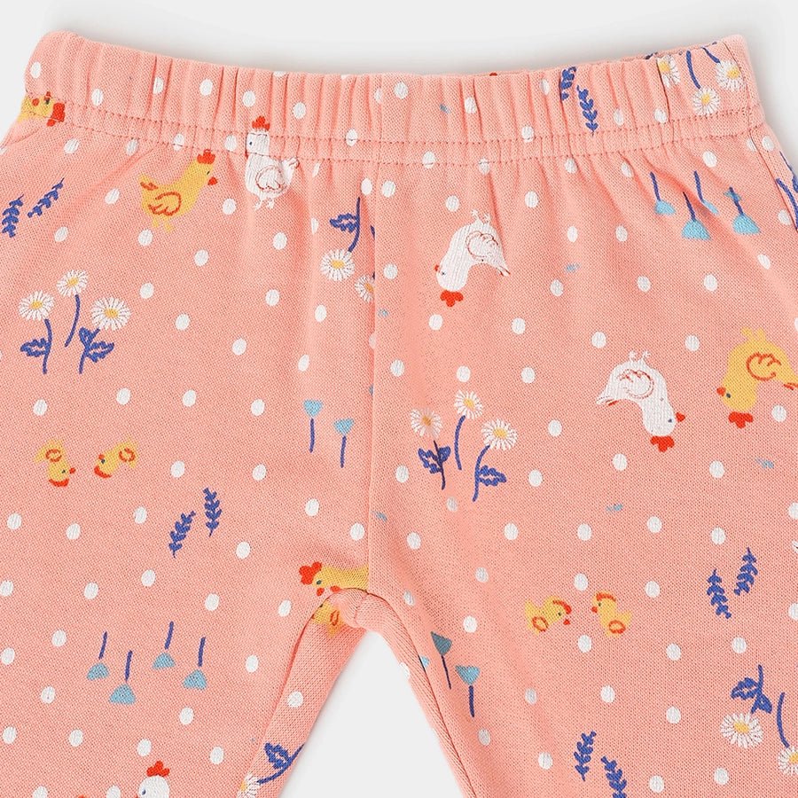 Farm Friends Girls Legging Set Pack of 2 Legging 9