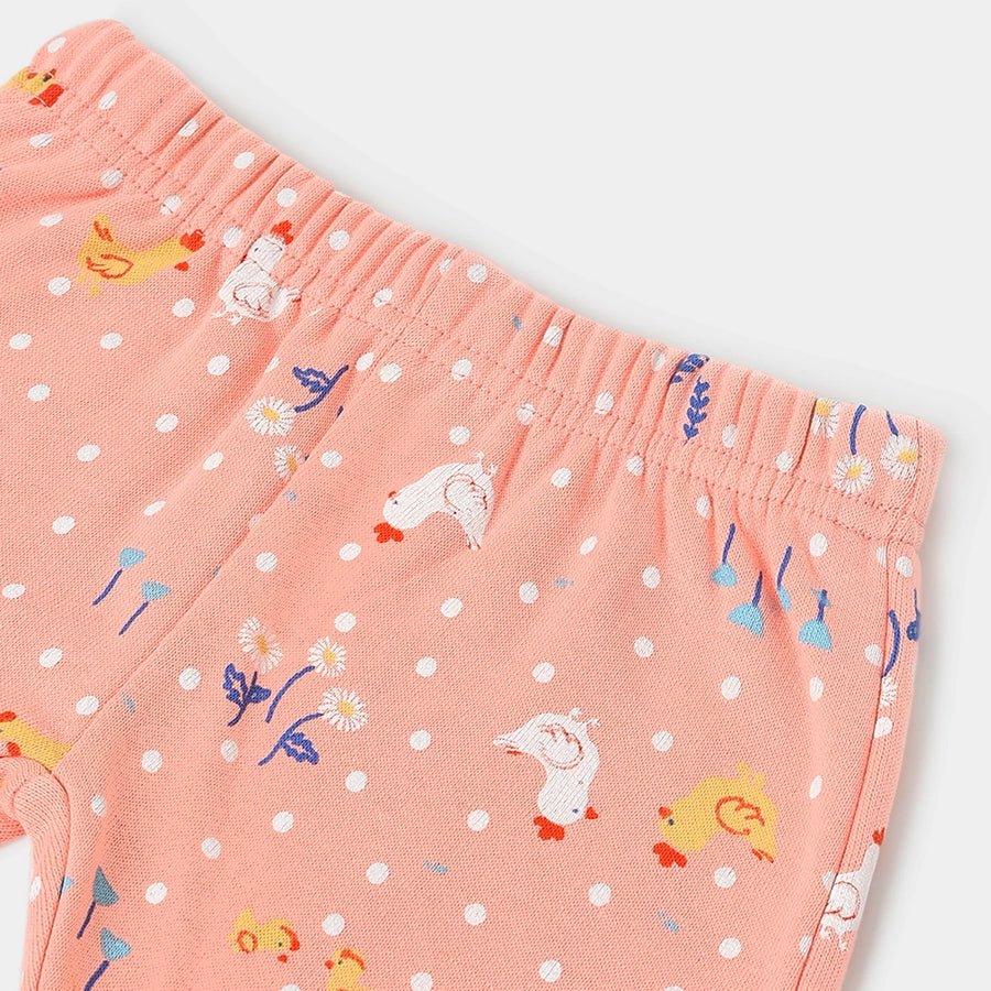 Farm Friends Girls Legging Set Pack of 2 Legging 10