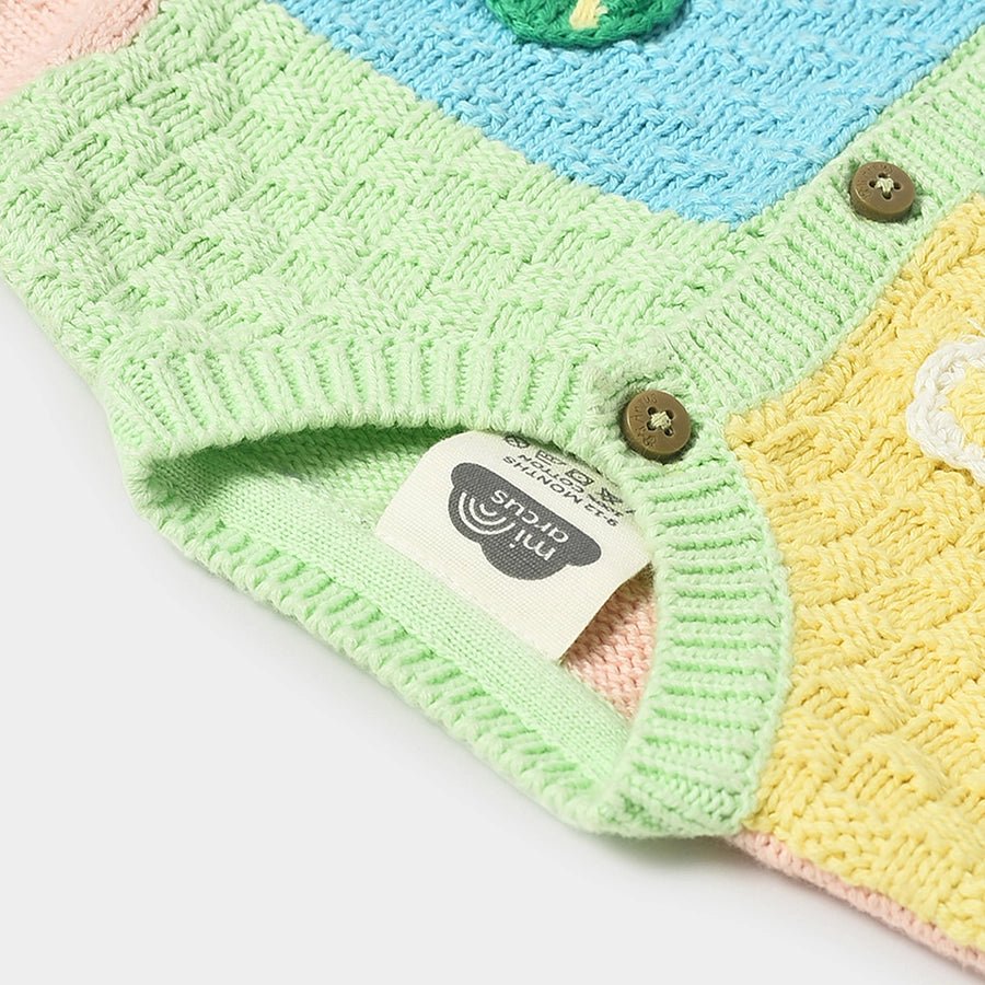 Farm Friends Knitted Colorblock Sweater for Kids Sweater Full Sleeves 6