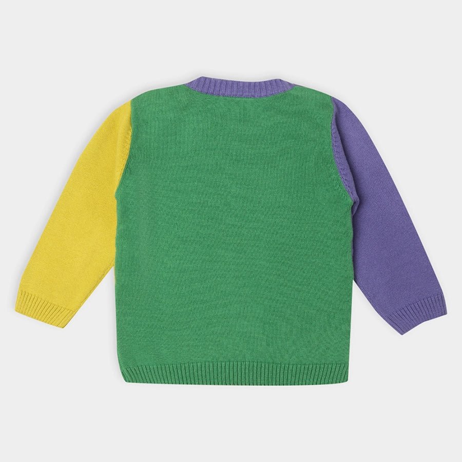 Grow Kind Unisex Gaiety Sweater Sweater Full Sleeves 4