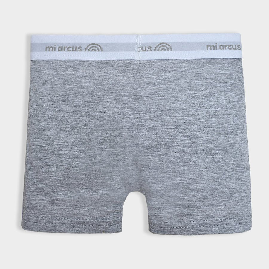 Happ Summer Gloomy Brief Multicolor Pack of 3 Brief 8