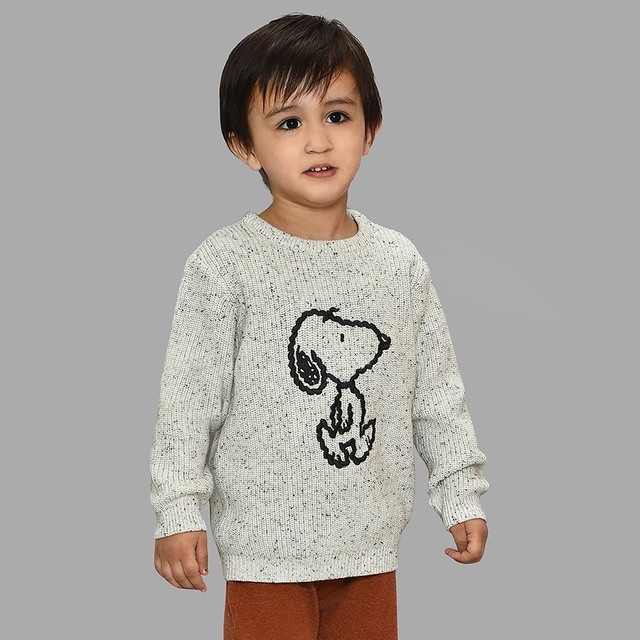 Peanuts™ Snoopy Pattern Chunky Sweater Grey Sweater Full Sleeves 1