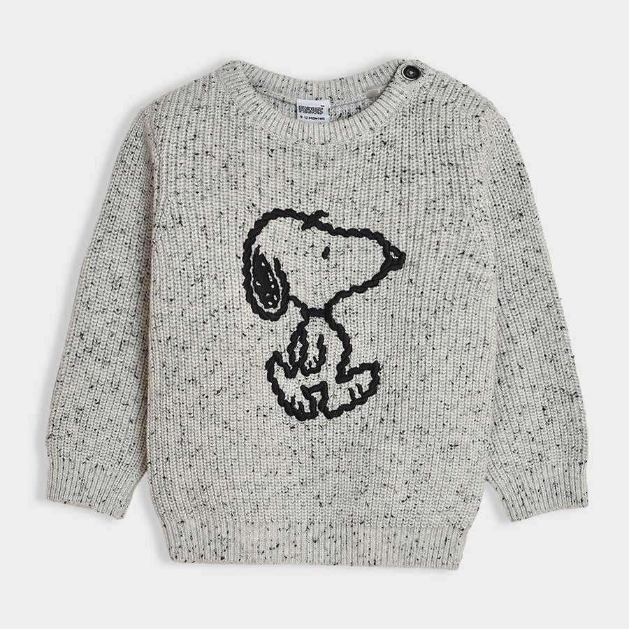 Peanuts™ Snoopy Pattern Chunky Sweater Grey Sweater Full Sleeves 1