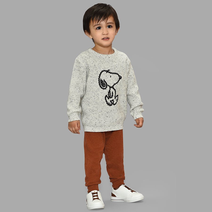 Peanuts™ Snoopy Pattern Chunky Sweater Grey Sweater Full Sleeves 8