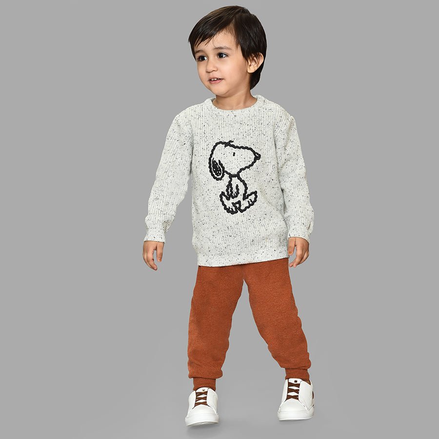 Peanuts™ Snoopy Pattern Chunky Sweater Grey Sweater Full Sleeves 9