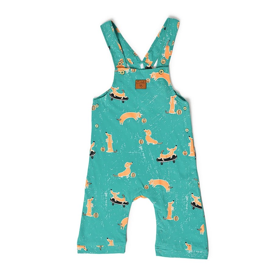 Playful Dungaree with T - shirt set for Kids Dungaree Set 8