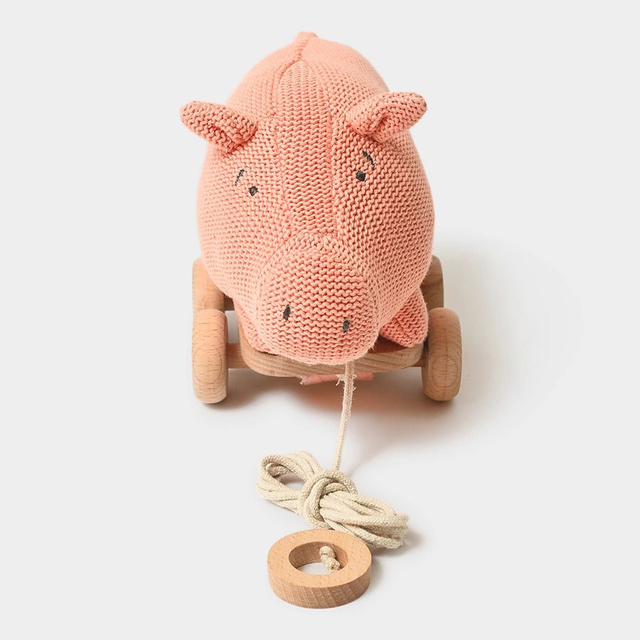 Push & Pull Pig Soft Toy Soft Toys 6