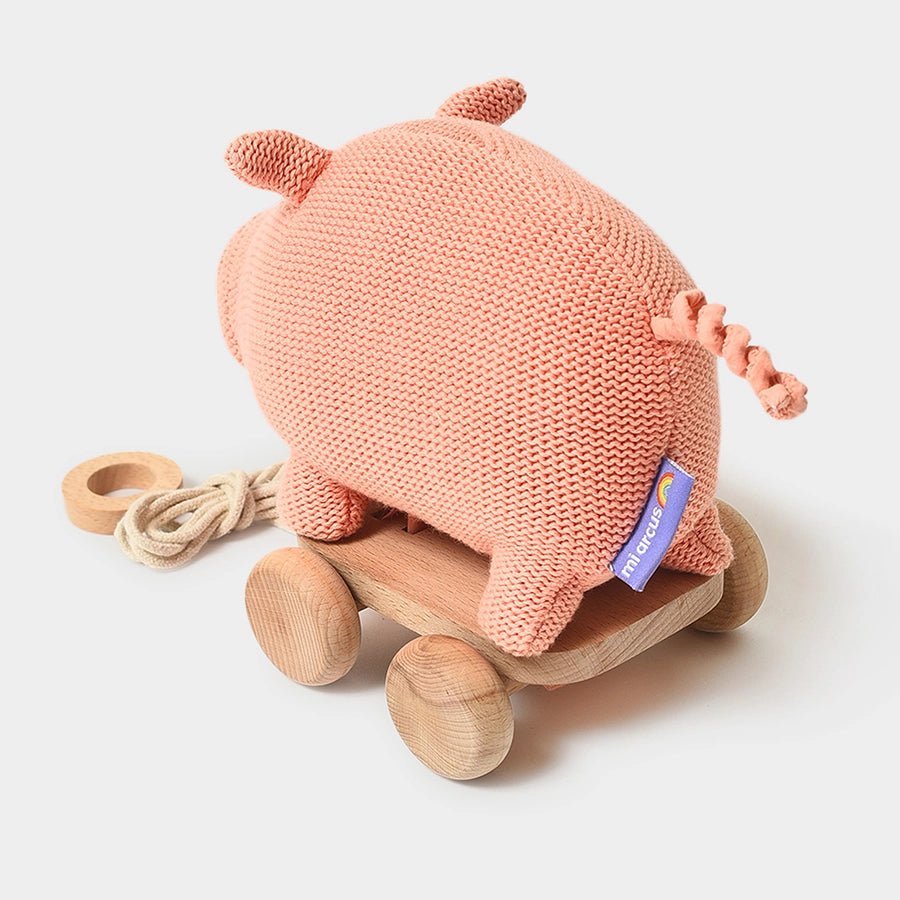 Push & Pull Pig Soft Toy Soft Toys 7