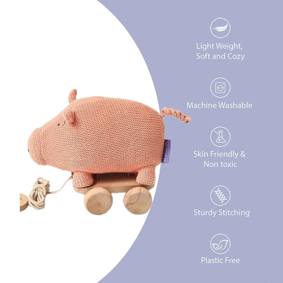 Push & Pull Pig Soft Toy Soft Toys 9