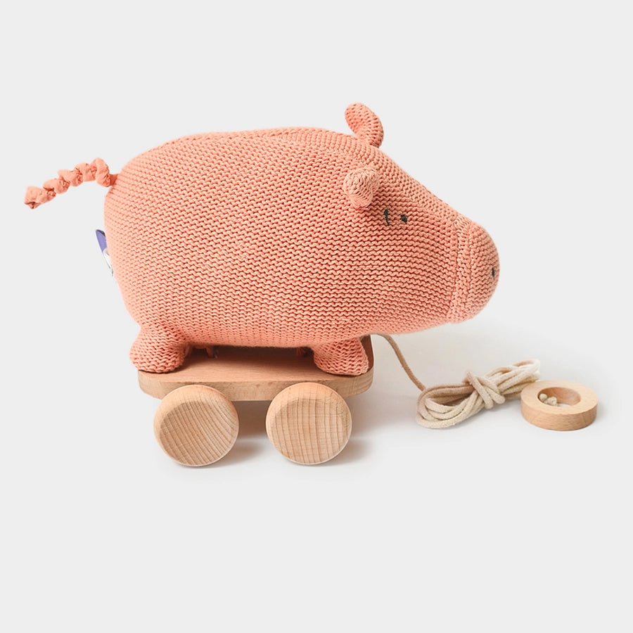 Push & Pull Pig Soft Toy Soft Toys 2