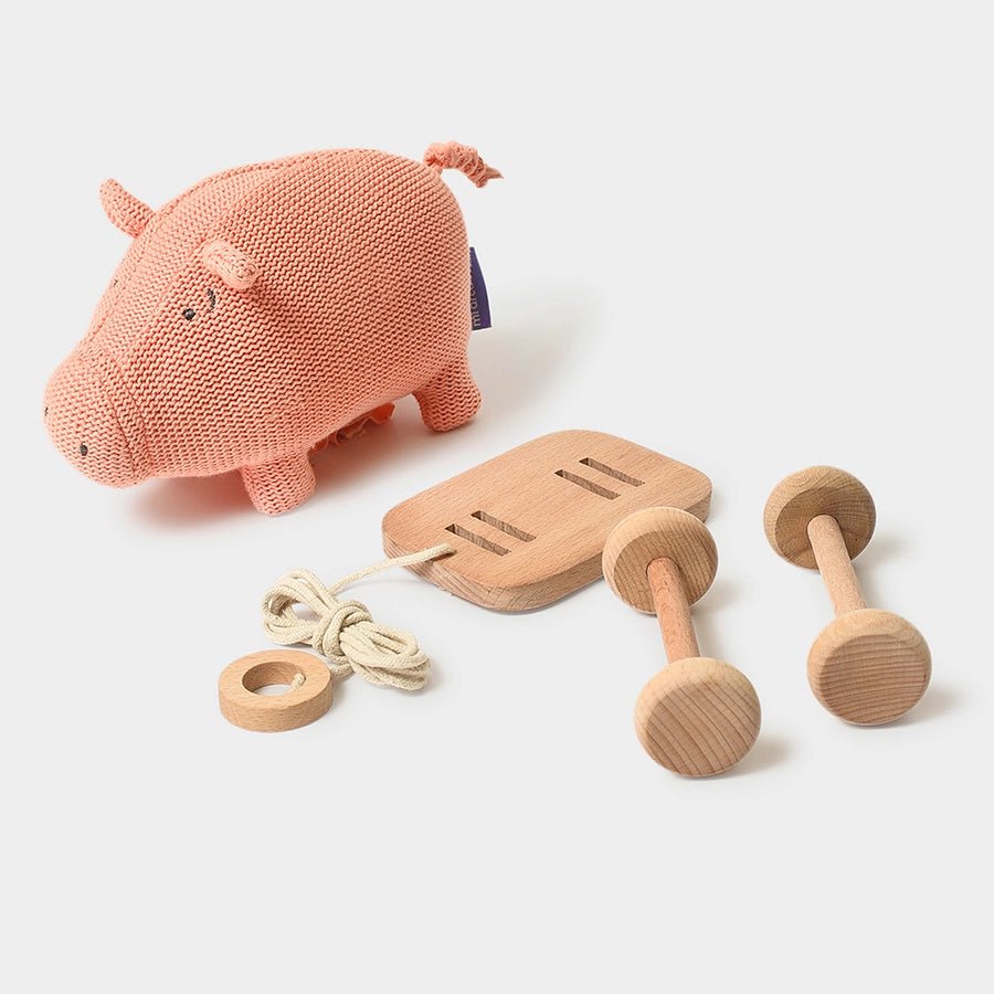 Push & Pull Pig Soft Toy Soft Toys 5