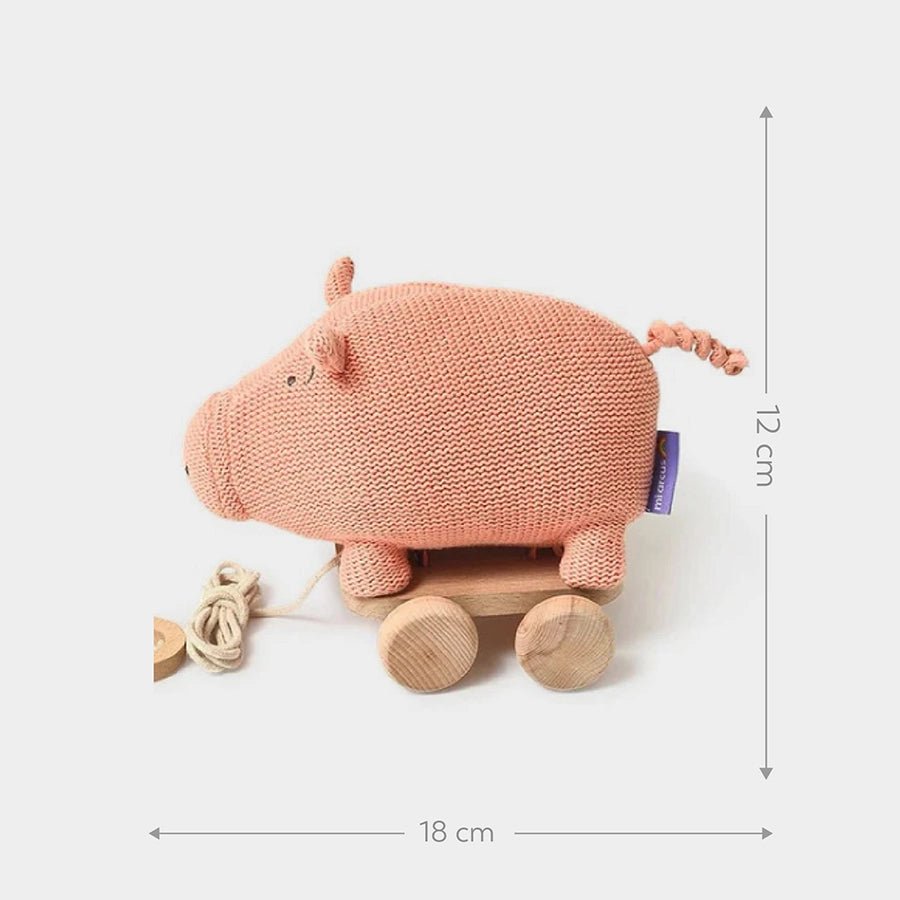 Push & Pull Pig Soft Toy Soft Toys 3