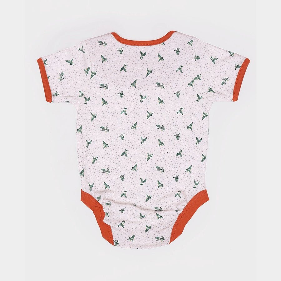 Tiny Tog Knitted Unisex Romper - Koala (Pack of 3) Romper 6