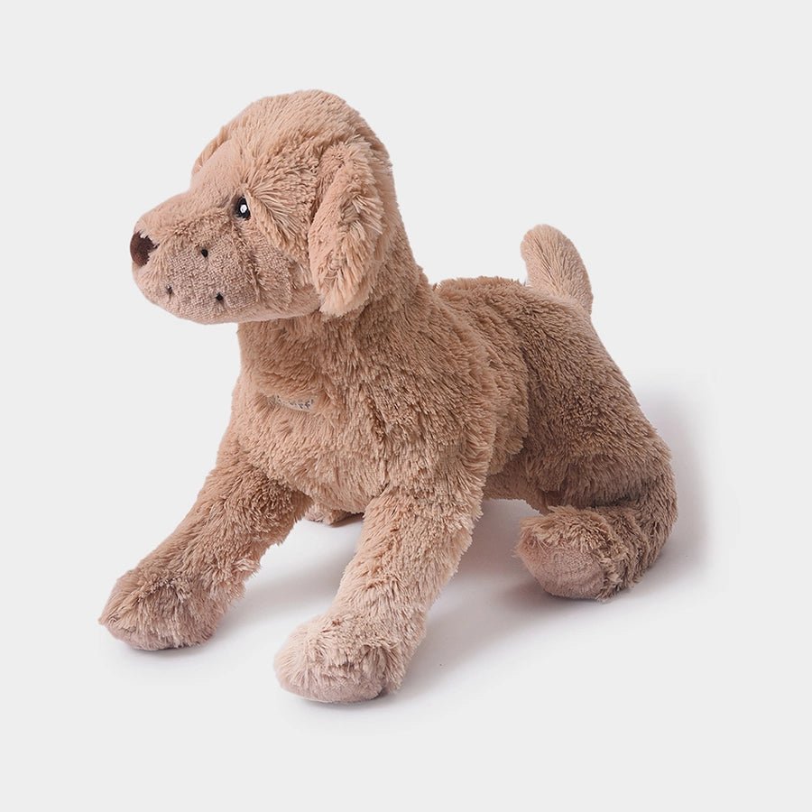 Truffle Dog Soft Toy Soft Toy 5