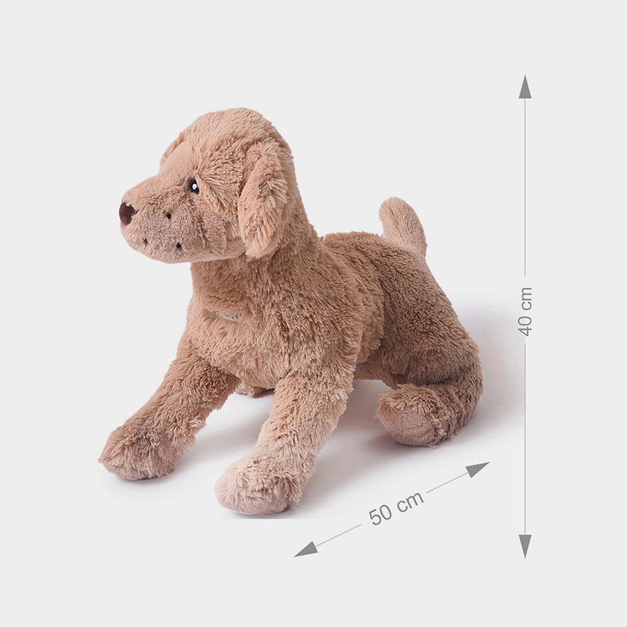 Truffle Dog Soft Toy Soft Toy 4