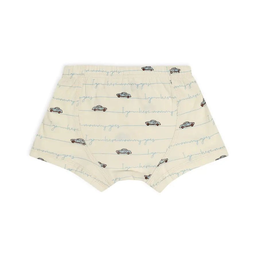Baby Boy Briefs with Crazy Car Print- (Pack of 3) Brief 5