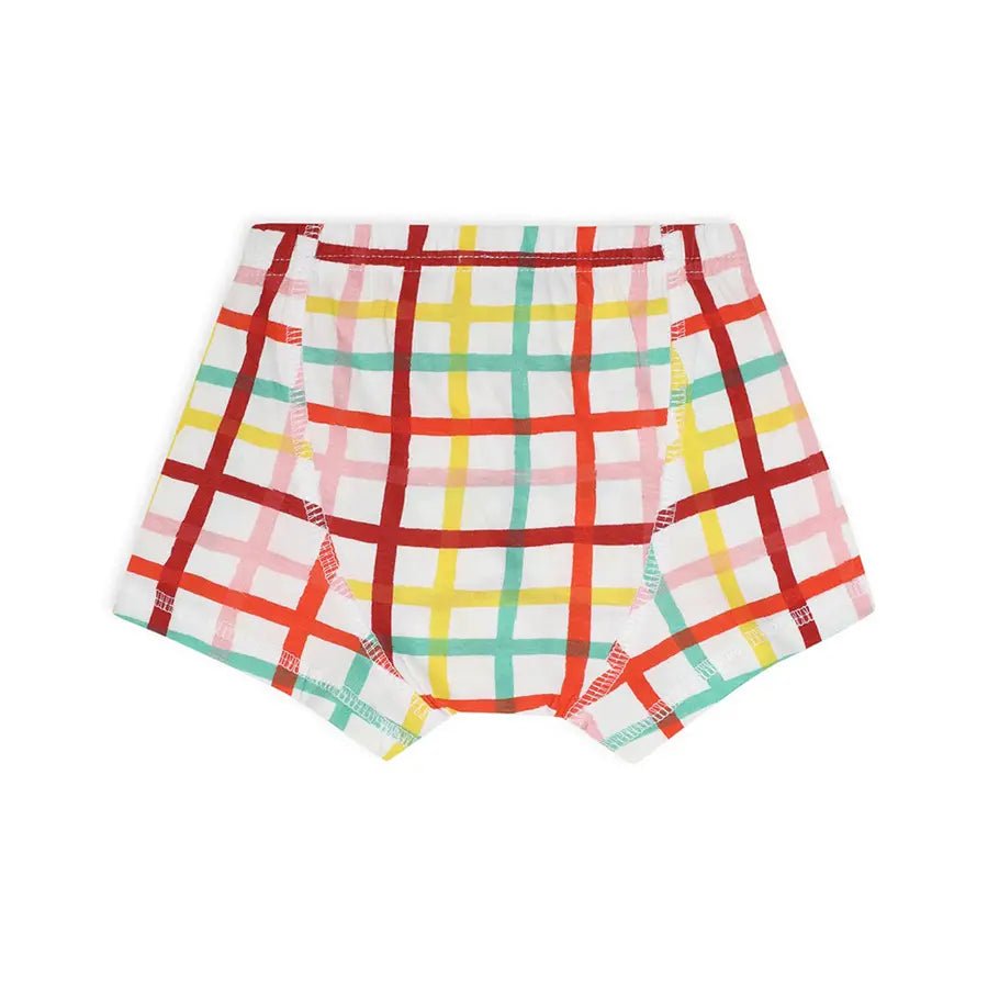 Baby Boy Briefs with Striped Print- (Pack of 3) Brief 5