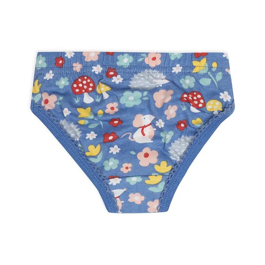 Baby Girl Briefs with Blossom Print- (Pack of 3)-Brief-5