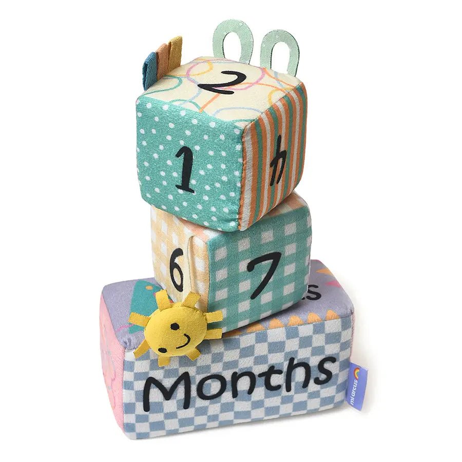Baby Milestone Blocks Set Soft Toys 3
