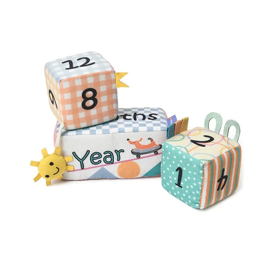 Baby Milestone Blocks Set Soft Toys 1